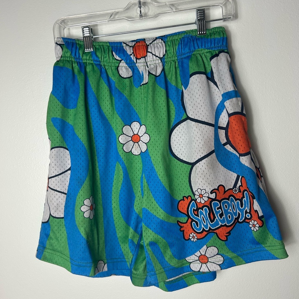 SoleBoy Blue and Green Graphic Shorts